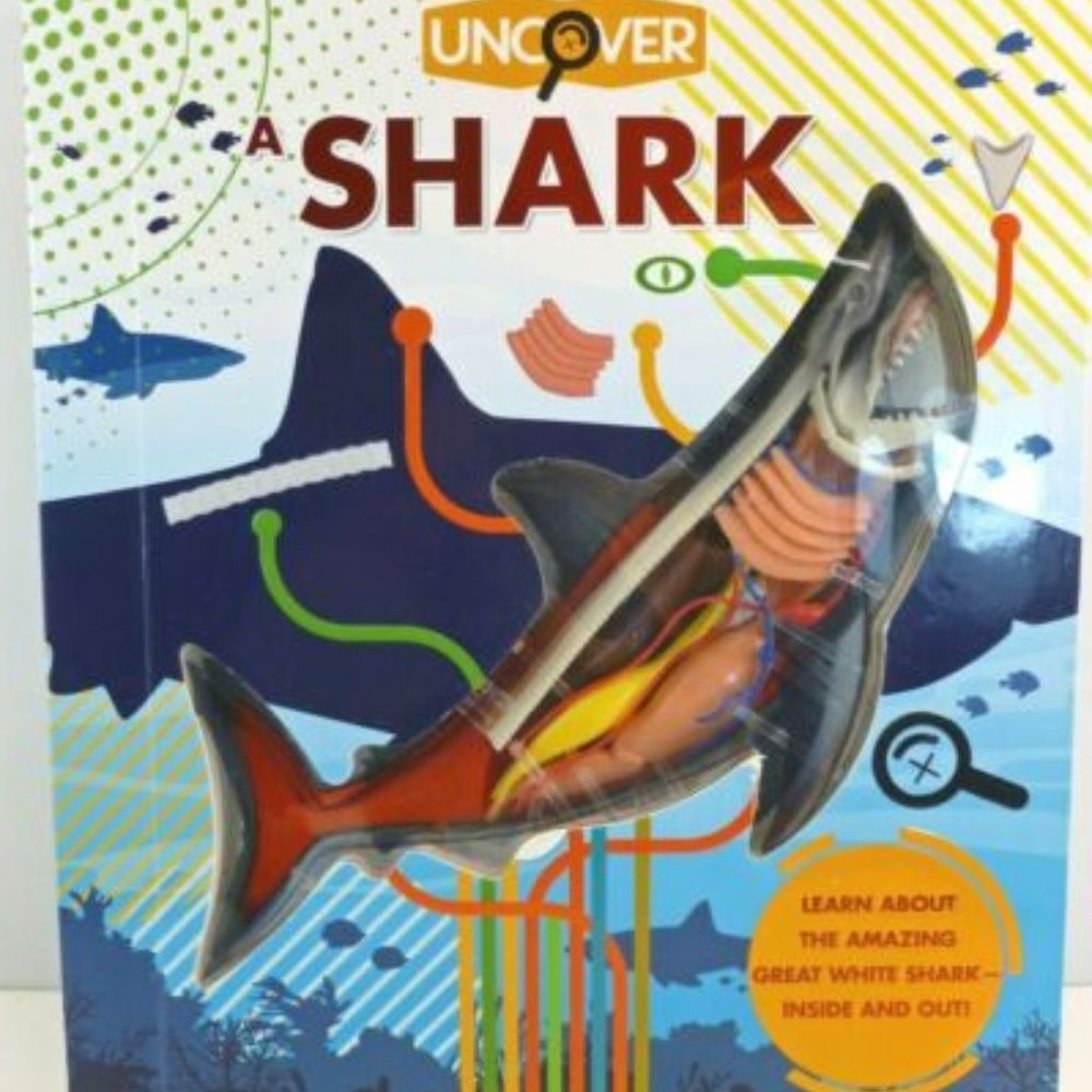 Uncover Shark Book Kit
